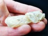 Quartz à croissance interrompue – Dalnegorsk, Russie