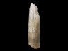 Quartz à croissance interrompue – Dalnegorsk, Russie