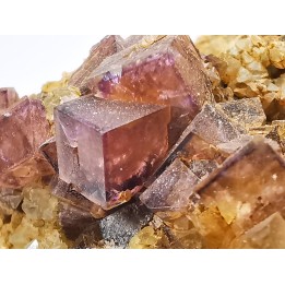 Fluorite from Clersanges, Saint-Pal-de-Senouire, Haute-Loire, France