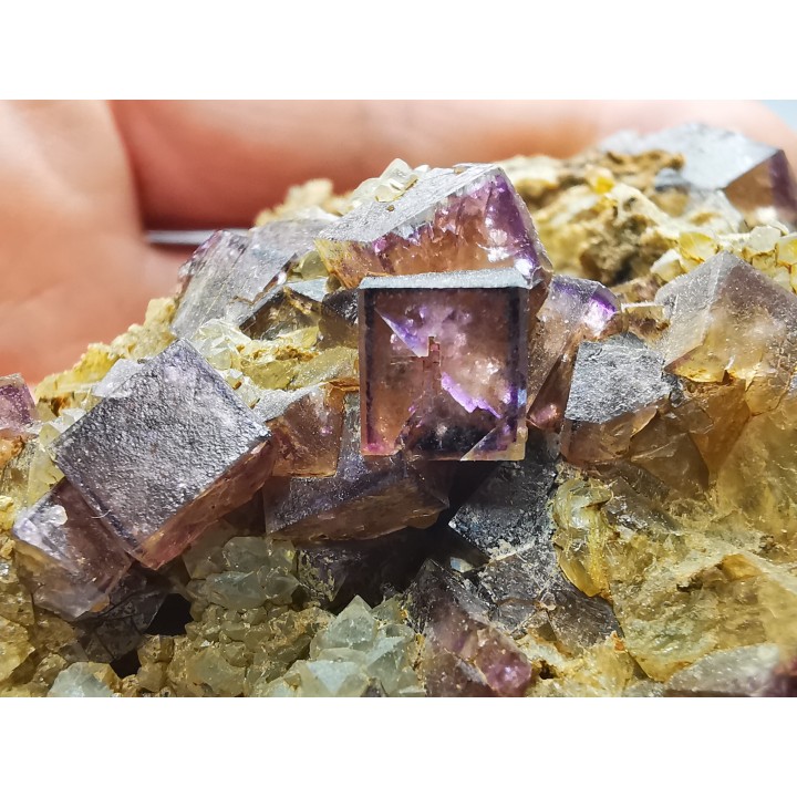Fluorite from Clersanges, Saint-Pal-de-Senouire, Haute-Loire, France