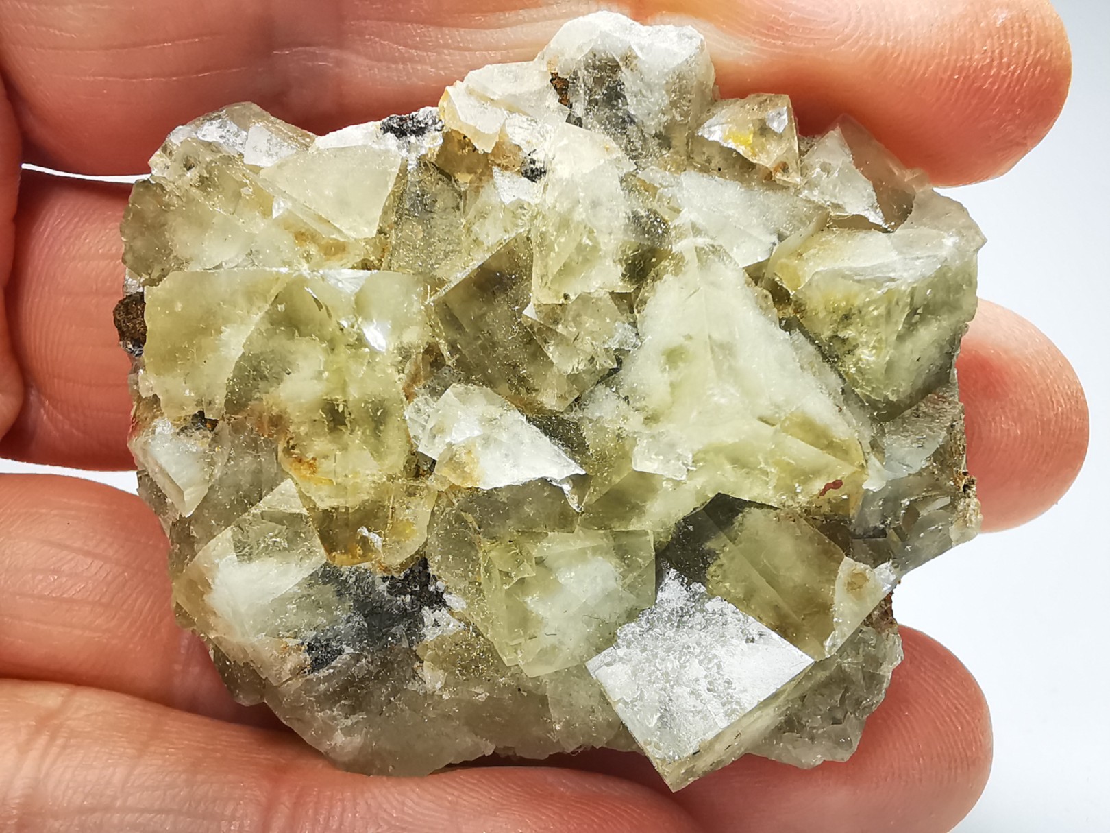 Fluorite de Voltennes, Lucenay-l'Evêque, Saône-et-Loire, France