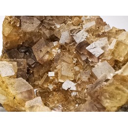 Fluorite de Durfort, Le Vigan, Gard, France