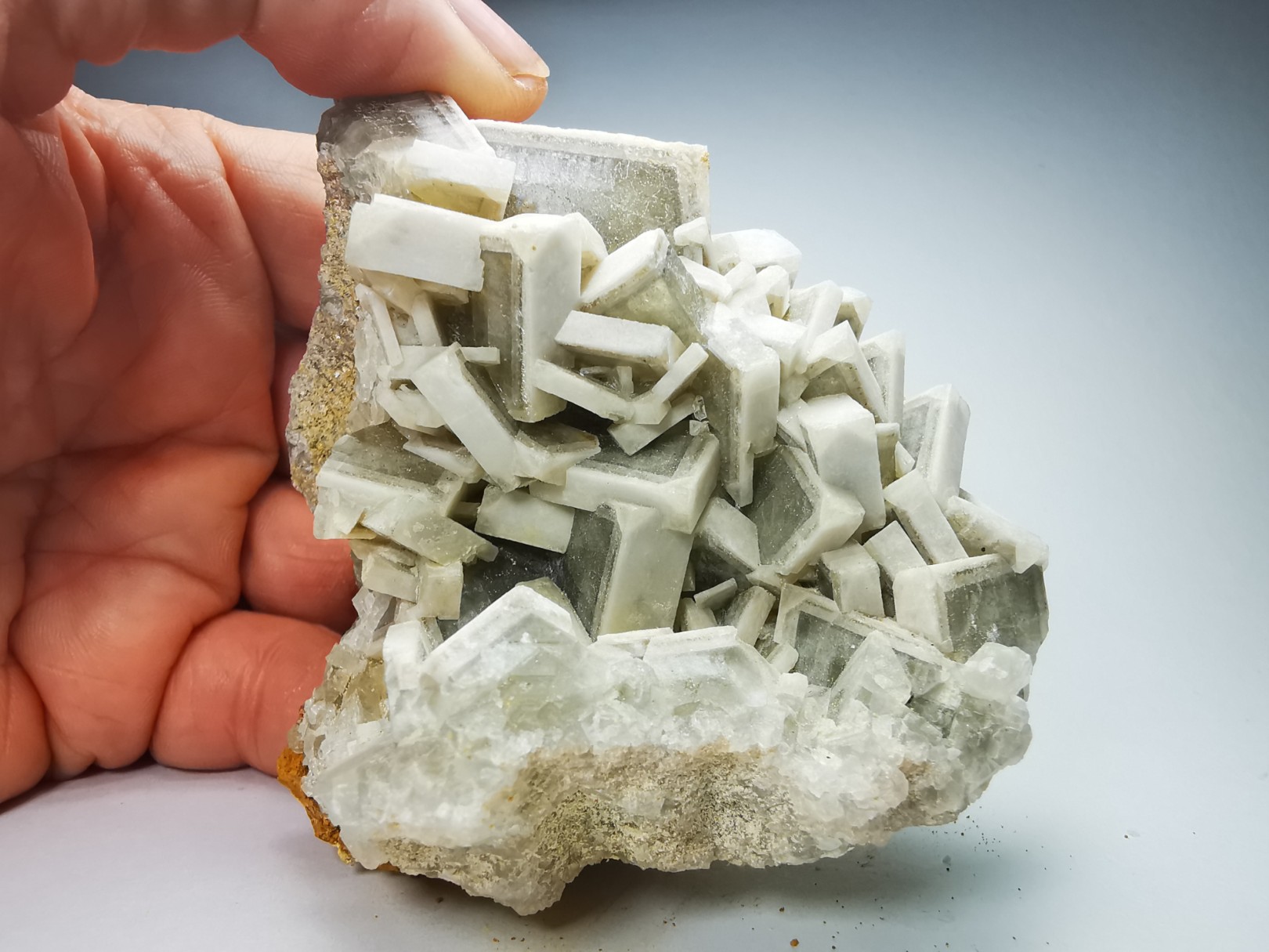 Baryte tabulaire de St-Georges-les-Bains, Ardèche, France