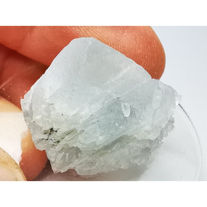 Fluorite de Margou, Tarn, France