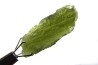 Tectite: Moldavite - République Tchèque