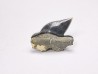 Shark tooth: Pseudocorax laevis, Late Cretaceous,  Eben-Emael, Belgium