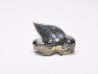Shark tooth: Pseudocorax laevis, Late Cretaceous,  Eben-Emael, Belgium