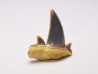 Dent de requin : Seratolamna serrata, Crétacé Supérieur,  Canal Albert, Belgique