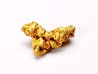 gold nugget - Kalgoorlie, Australia