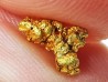Pepite d'or - Kalgoorlie, Australie
