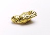 gold nugget - Kalgoorlie, Australia