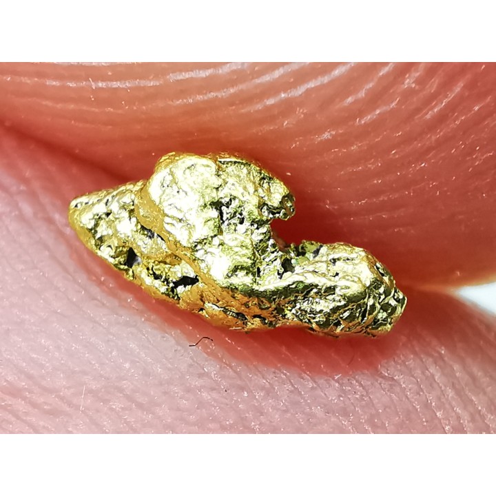 Pepite d'or - Kalgoorlie, Australie