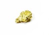 Pepite d'or - Kalgoorlie, Australie