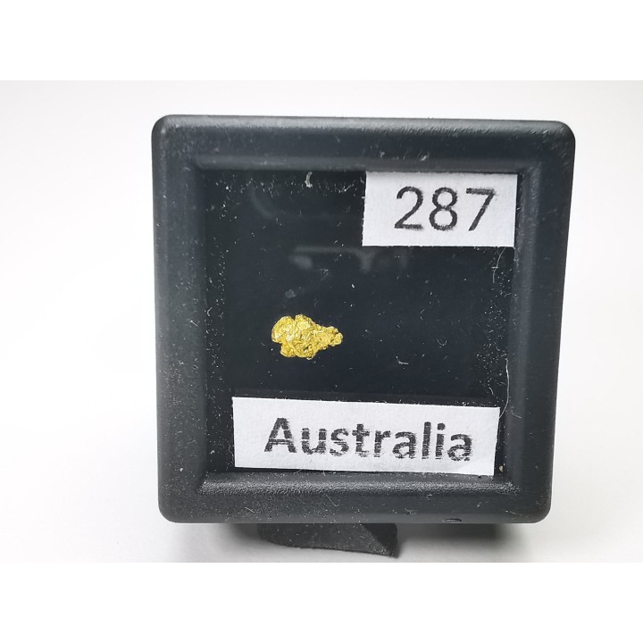 Pepite d'or - Kalgoorlie, Australie
