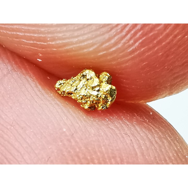 gold nugget - Kalgoorlie, Australia