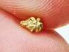 Pepite d'or - Kalgoorlie, Australie
