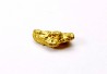 gold nugget - Kalgoorlie, Australia