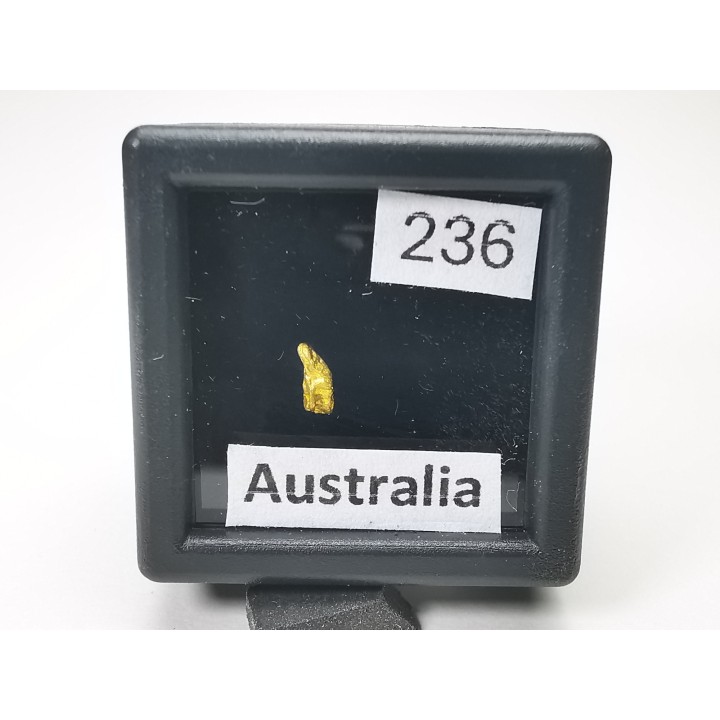Pepite d'or - Kalgoorlie, Australie