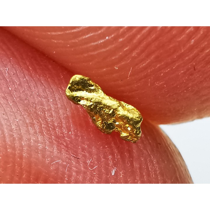 gold nugget - Kalgoorlie, Australia