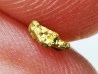 gold nugget - Kalgoorlie, Australia