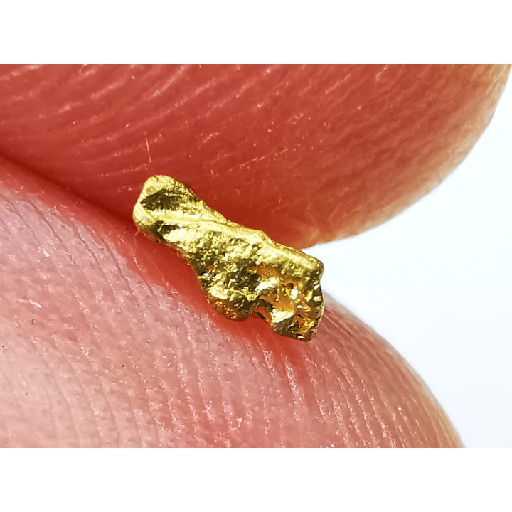 gold nugget - Kalgoorlie, Australia