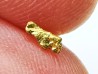 gold nugget - Kalgoorlie, Australia