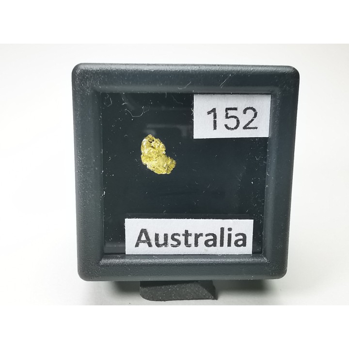 Pepite d'or - Kalgoorlie, Australie