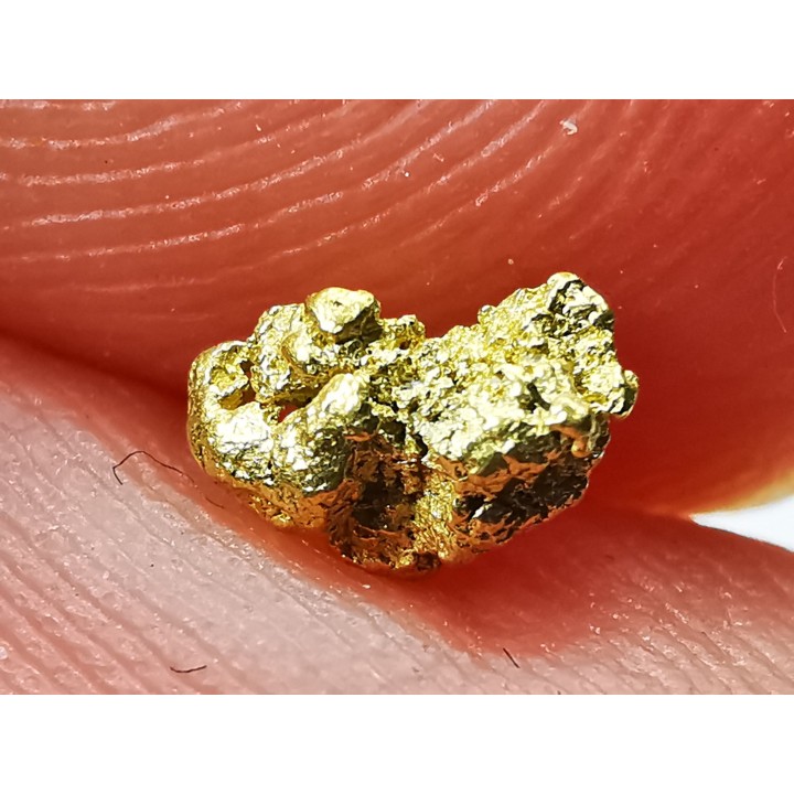 gold nugget - Kalgoorlie, Australia