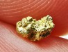 Pepite d'or - Kalgoorlie, Australie