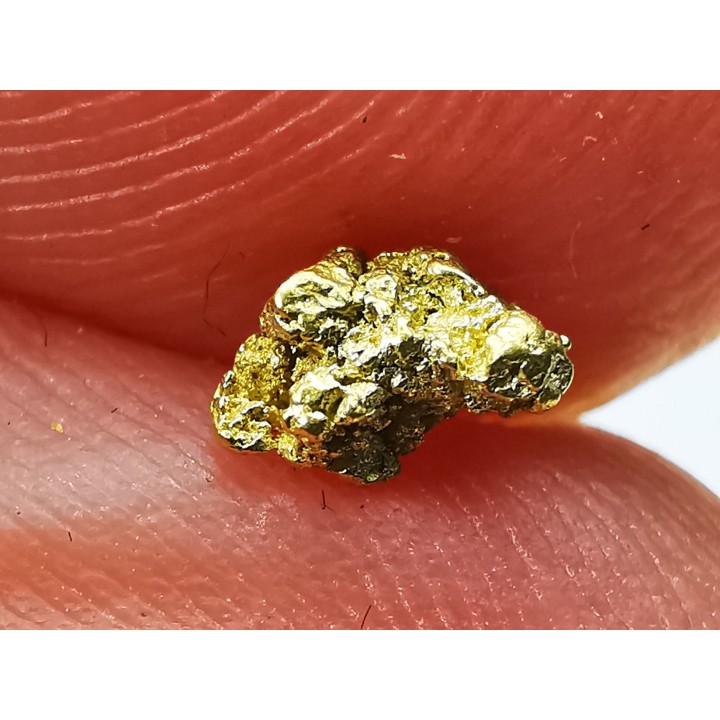 gold nugget - Kalgoorlie, Australia