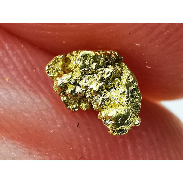 gold nugget - Kalgoorlie, Australia