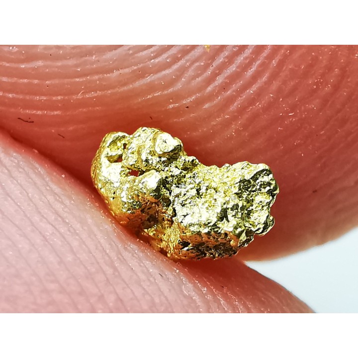 Pepite d'or - Kalgoorlie, Australie