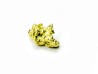 gold nugget - Kalgoorlie, Australia