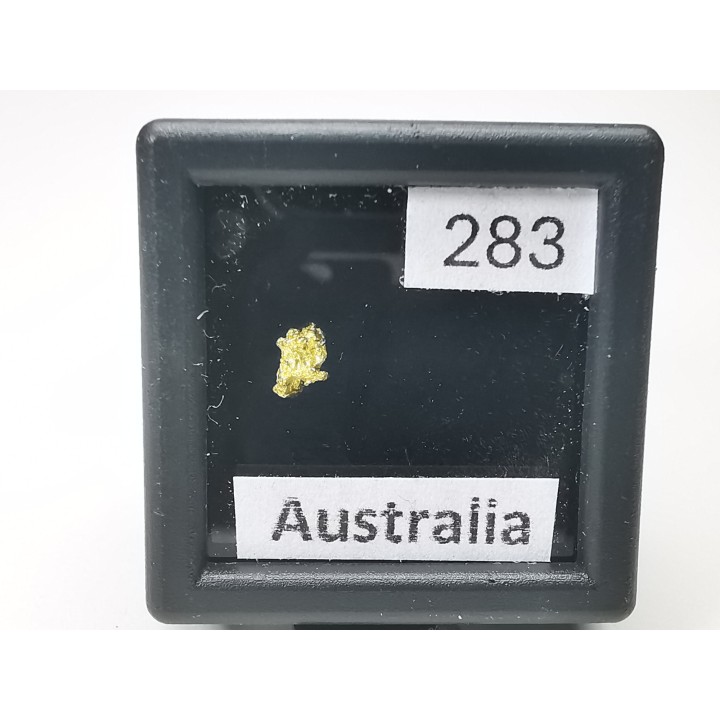 Pepite d'or - Kalgoorlie, Australie