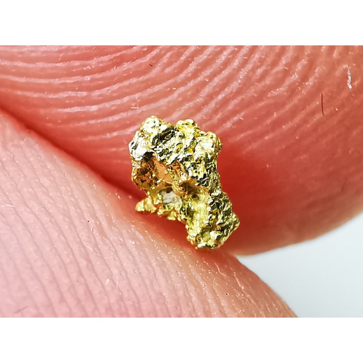 gold nugget - Kalgoorlie, Australia