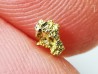 gold nugget - Kalgoorlie, Australia
