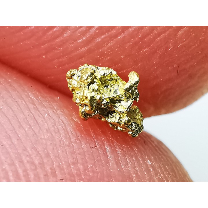 Pepite d'or - Kalgoorlie, Australie