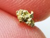 gold nugget - Kalgoorlie, Australia