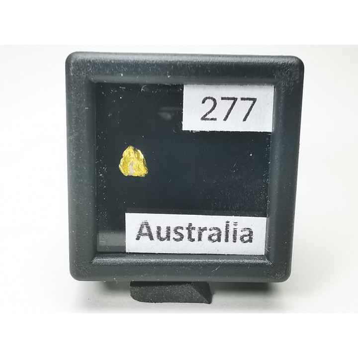Pepite d'or - Kalgoorlie, Australie