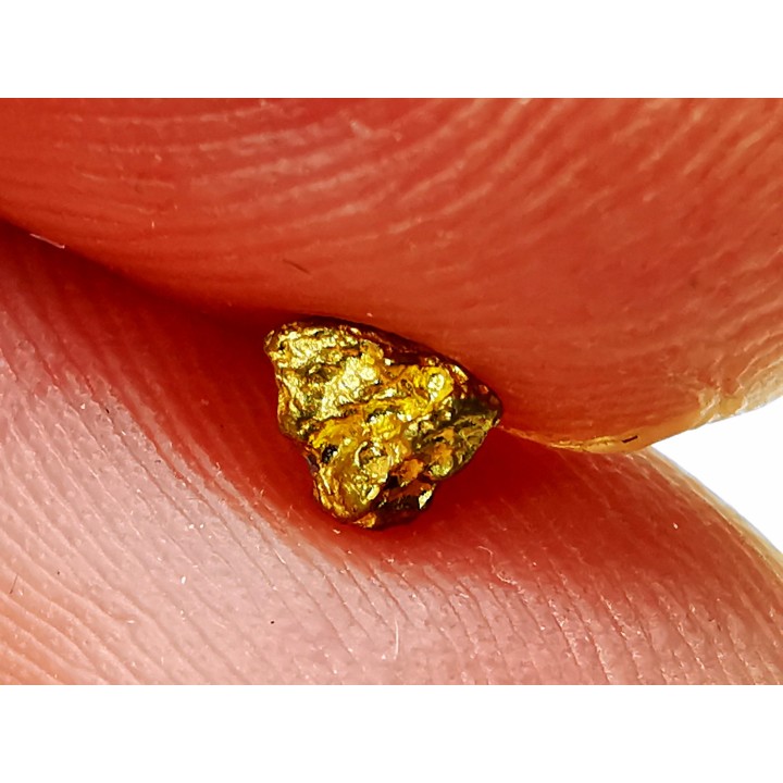 Pepite d'or - Kalgoorlie, Australie