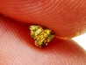 Pepite d'or - Kalgoorlie, Australie