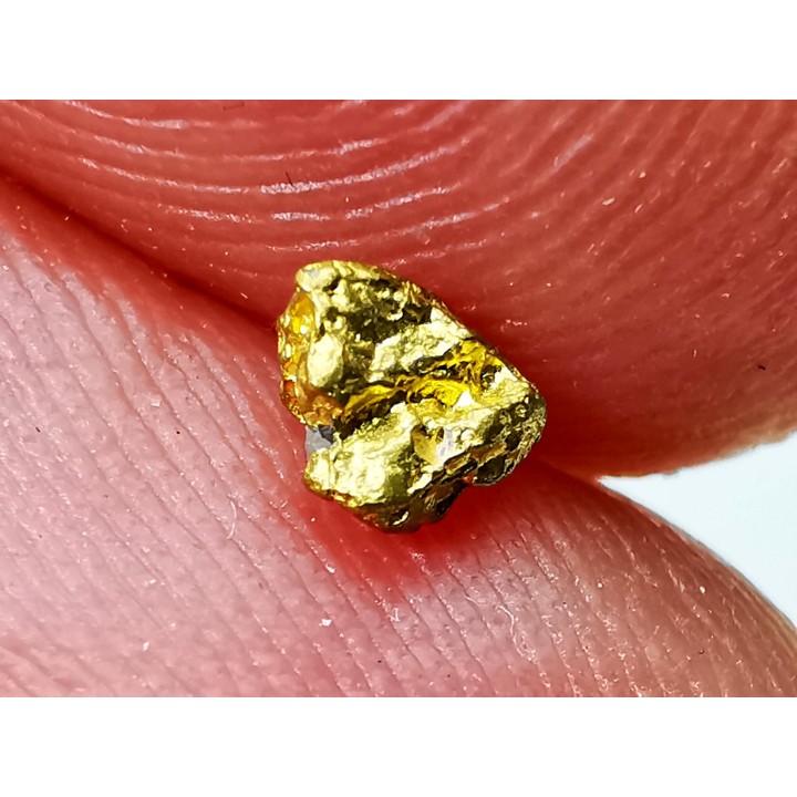 gold nugget - Kalgoorlie, Australia