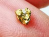 gold nugget - Kalgoorlie, Australia