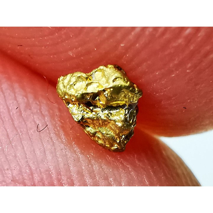 Pepite d'or - Kalgoorlie, Australie