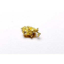 Pepite d'or - Kalgoorlie, Australie