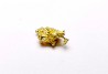 gold nugget - Kalgoorlie, Australia