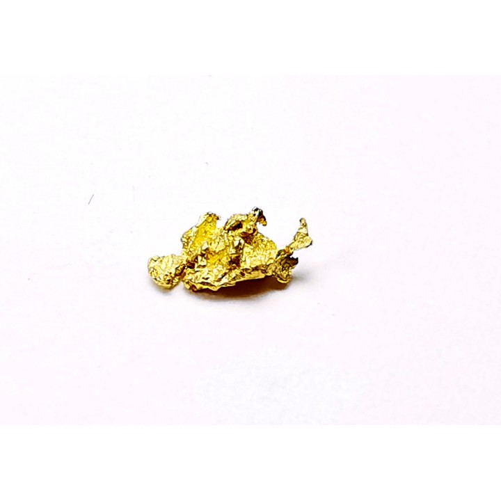 gold nugget - Kalgoorlie, Australia