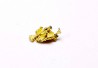 Pepite d'or - Kalgoorlie, Australie