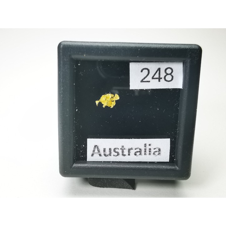 gold nugget - Kalgoorlie, Australia