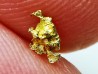 gold nugget - Kalgoorlie, Australia